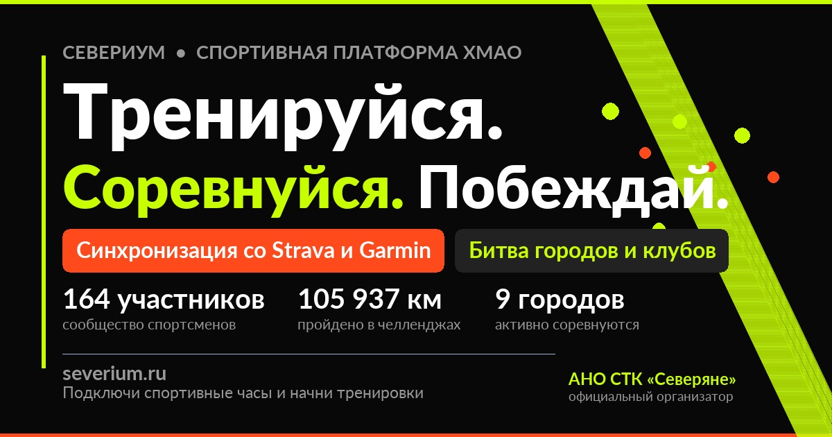 Публичная обложка Severium